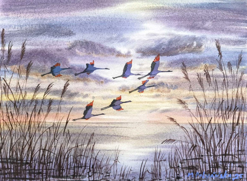Cielo nuvoloso uccellini - cielo,