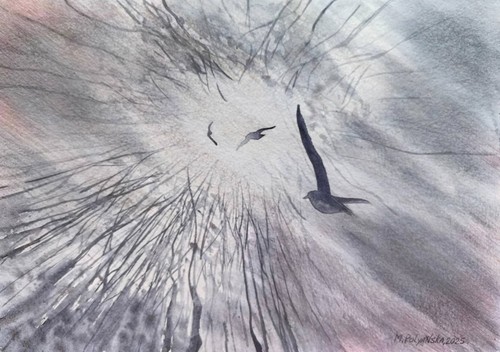 Birds flying sky foggy forest - birds,