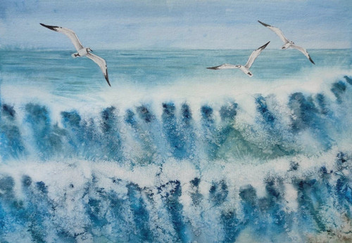 Bird seagalls sea waves opera - bird,
