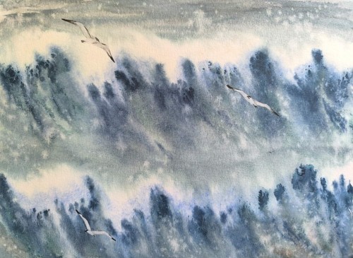 Bird seagalls sea waves opera - sea,